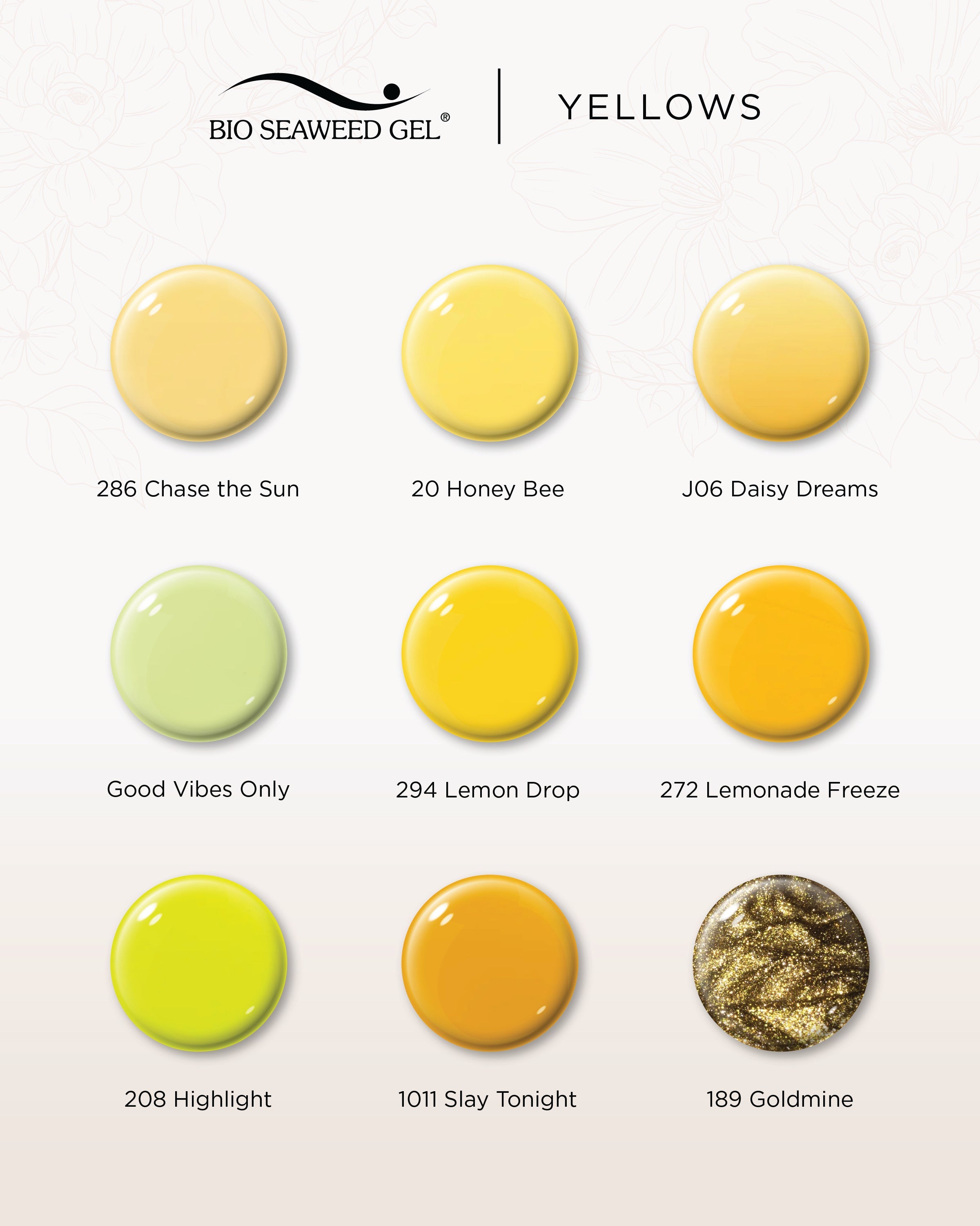 J06 Daisy Dreams - Bio Seaweed Gel USA