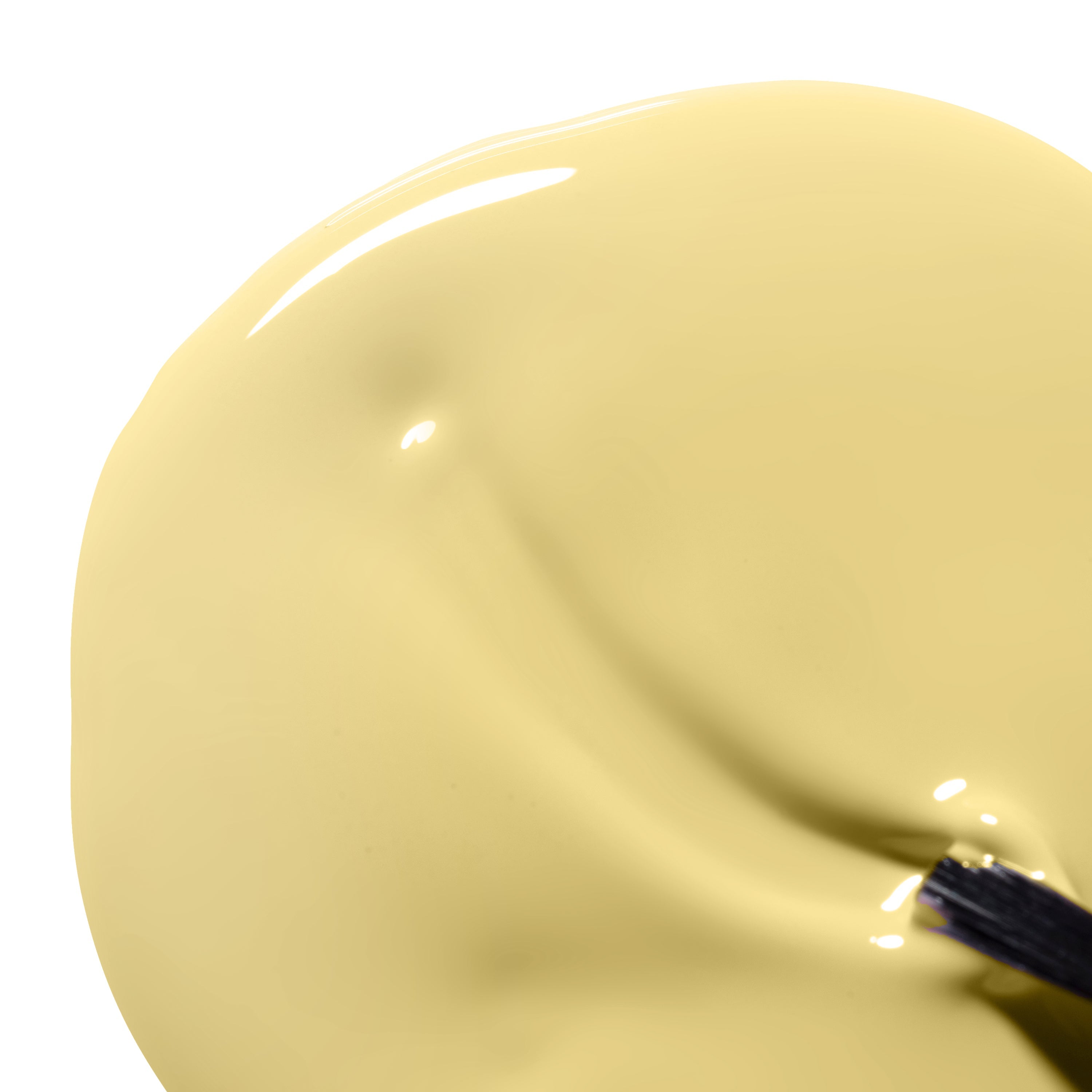 Sun Dazed Collection - Bio Seaweed Gel USA